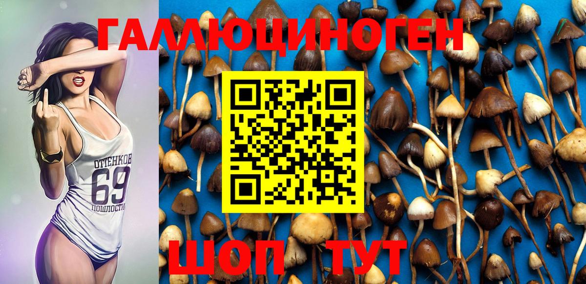Галлюциногенные грибы Magic Shrooms  Псилоцибиновые грибы Psilocybe  Сегежа  Вход с VPN 